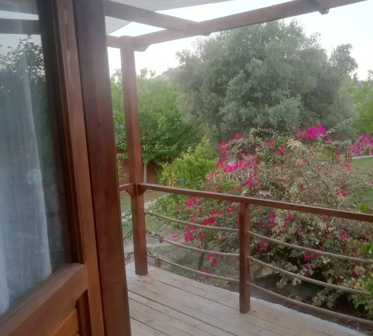 Bahar Bahce Datca Mesudiye